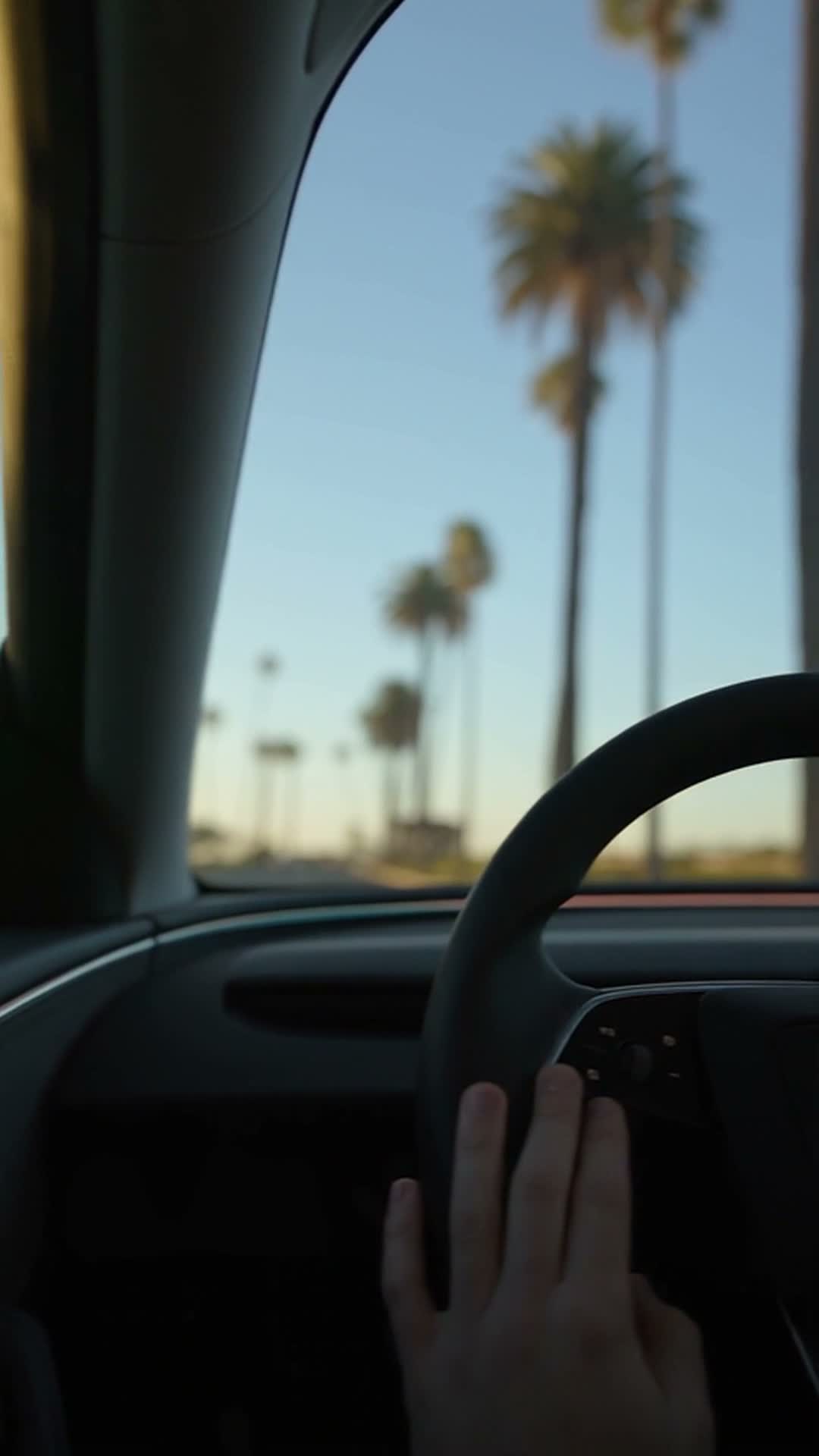 Rideshare driver behind the wheel on a palm-lined California street